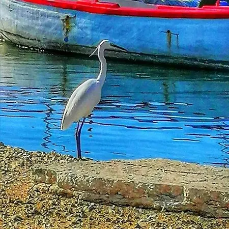 Occhi Di Mare Apartamento