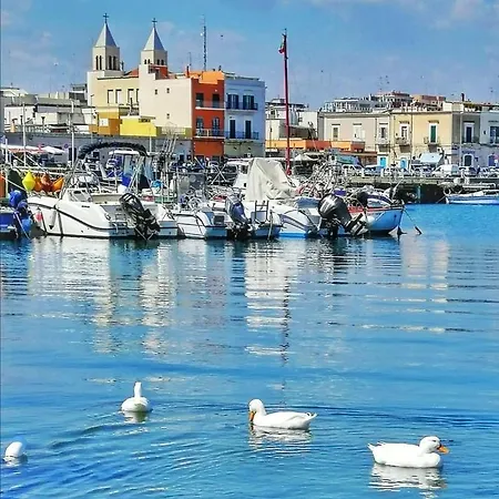 Occhi Di Mare Apartment