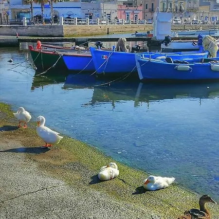 Occhi Di Mare * Bari