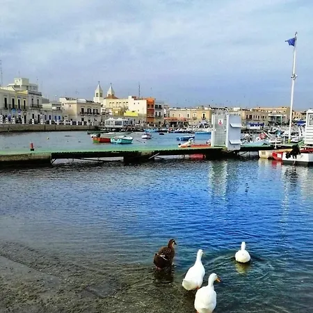 Occhi Di Mare